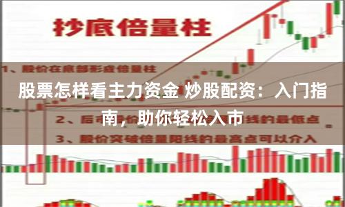 股票怎樣看主力資金 炒股配資：入門指南，助你輕松入市